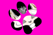 Killer-Kitty-Banner